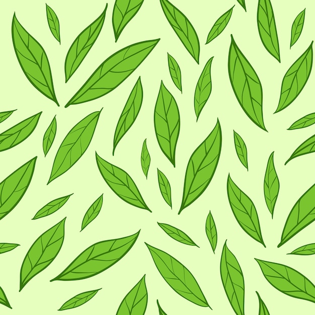 Fondo de vector transparente con patrón de hojas de té verde