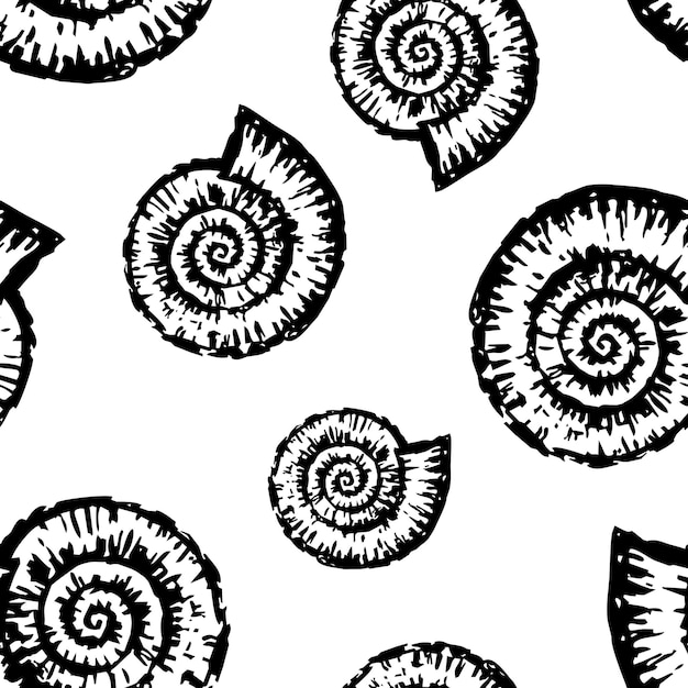 Fondo vectorial de conchas marinas de nautiluses