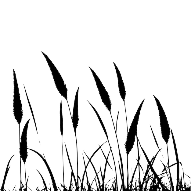 Fondo vectorial de hierba