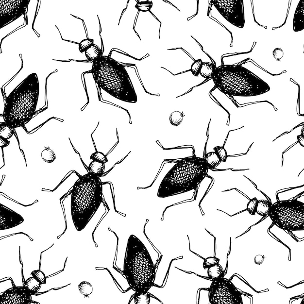 Fondo vectorial con ilustraciones dibujadas a mano de insectos Dibujo mosca escarabajo polilla Entomológica