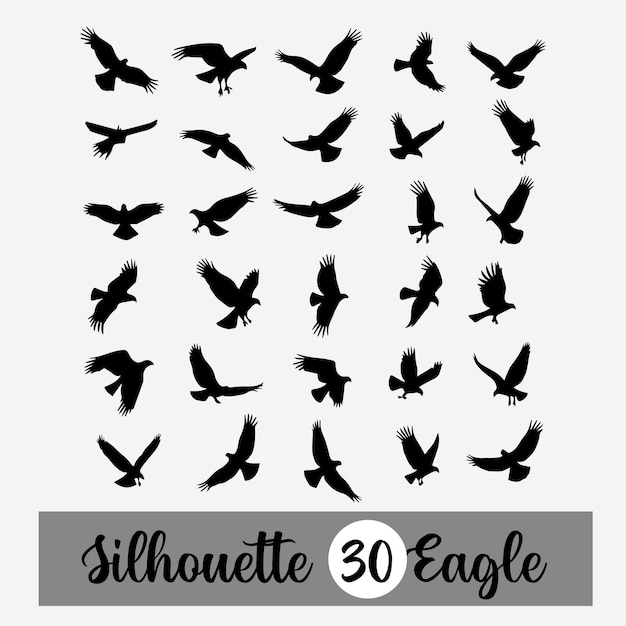 Fondo vectorial libre con colección de siluetas de pájaros