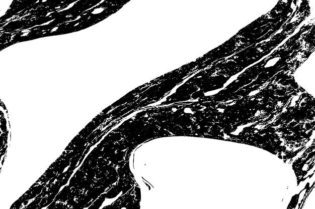 Fondo vectorial de patrón de mármol monocromático