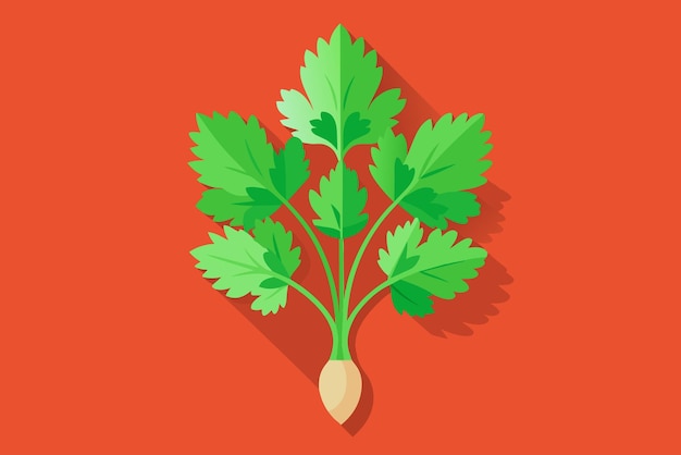 Vector fondo vegetal de cilantro