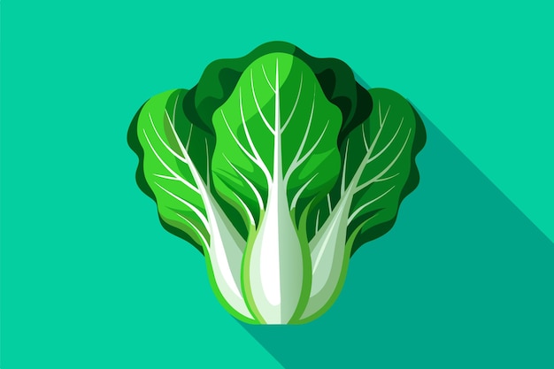 Vector el fondo vegetal de la escarola