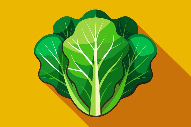 Vector el fondo vegetal de la escarola