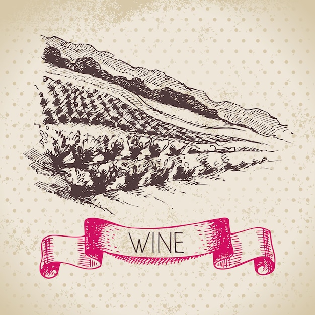 Fondo de la vendimia del vino. Ilustración de boceto dibujado a mano