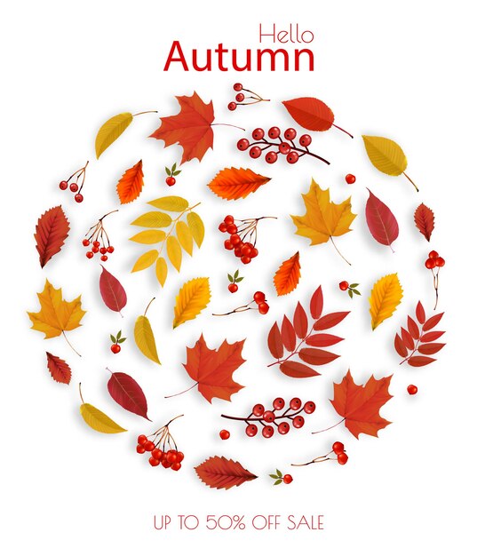 Fondo de venta de hojas coloridas de otoño con hojas de bosque, frutos rojos, viburnum. Vector.