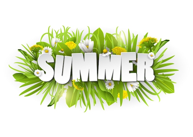 Fondo de verano floral con diente de León y manzanilla