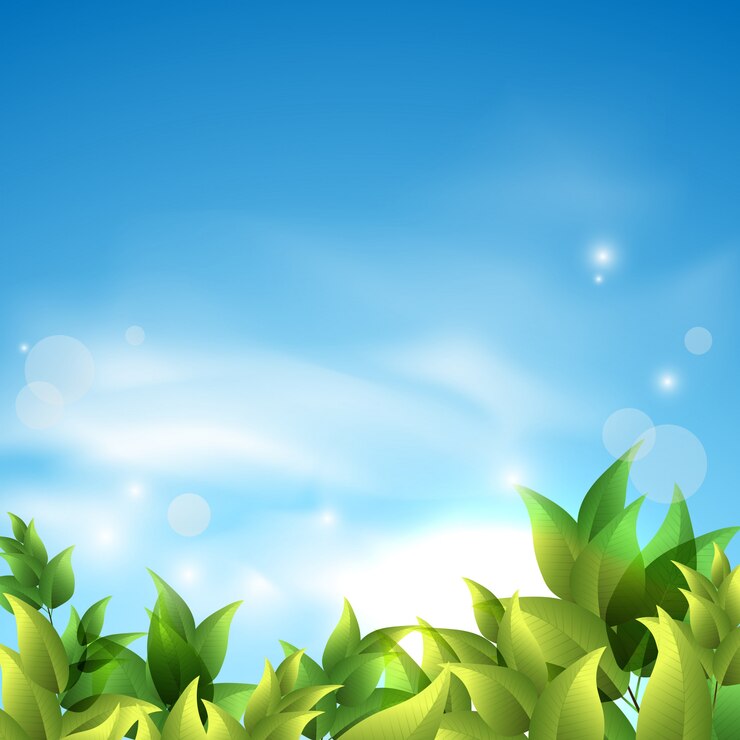 Vector fondo de verano con hojas verdes contra el cielo.