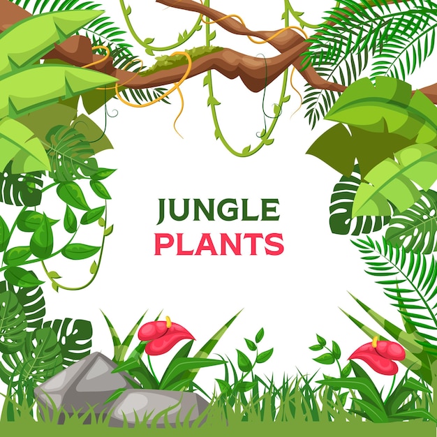 Fondo de verano tropical con vector de plantas de la selva