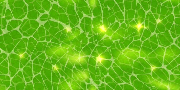 Vector fondo verde abstracto o textura de células vegetales bajo un microscopio de patrones sin fisuras