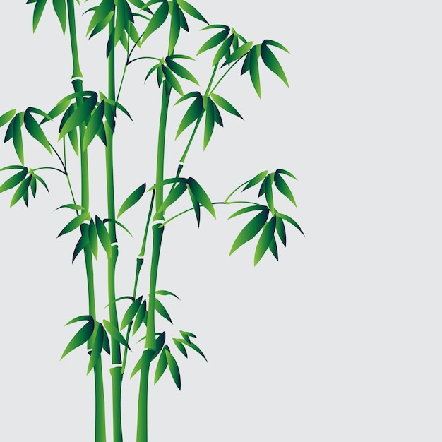 fondo verde bambú icono del sol diseño grunge