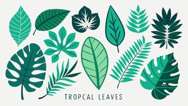 un fondo verde con hojas verdes y la palabra hojas tropicales