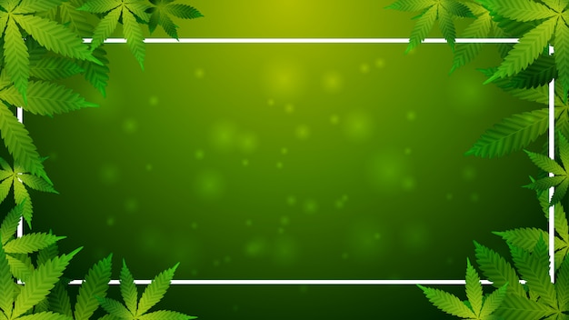 Vector fondo verde con un marco y una corona de hojas de cannabis