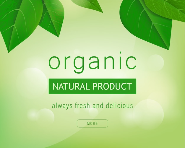 Fondo verde natural de la etiqueta orgánica con las hojas.