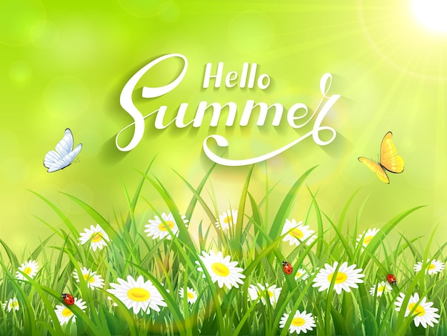 Fondo verde soleado con letras Hello Summer Butterflies volando sobre la ilustración de hierba y flores