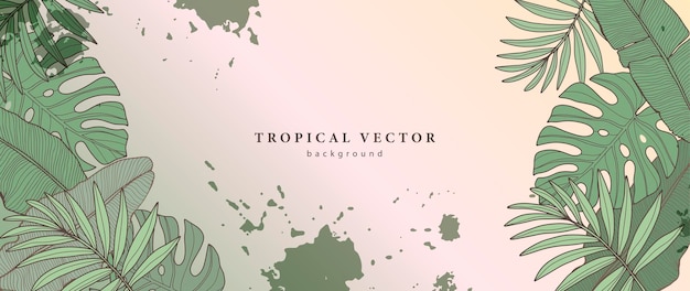 Fondo verde tropical con hojas de monstera y palma hojas de plátano Fondo para decoración cubre fondos de pantalla postales y presentaciones Marco botánico para texto o foto