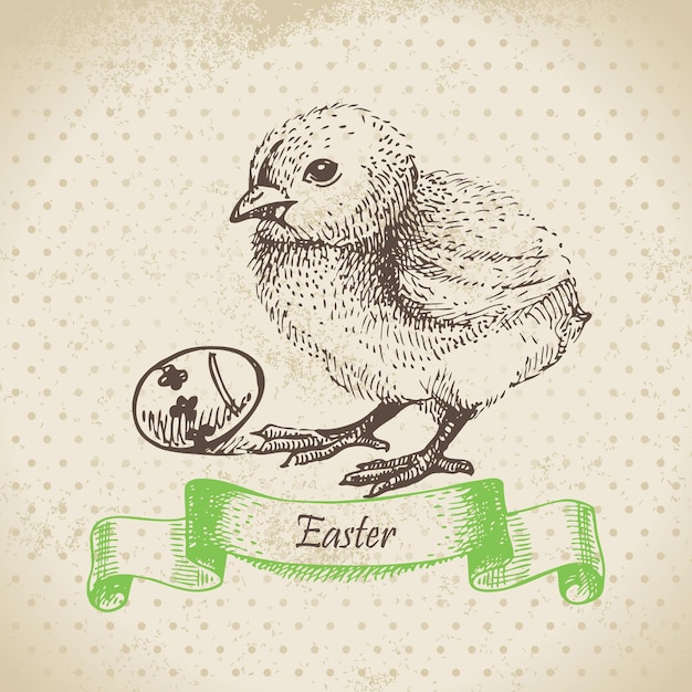 Fondo vintage con pollito de Pascua. Ilustración dibujada a mano