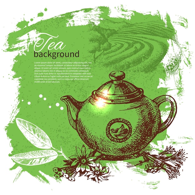 Fondo vintage de té. Ilustración de boceto dibujado a mano. Diseño de menú