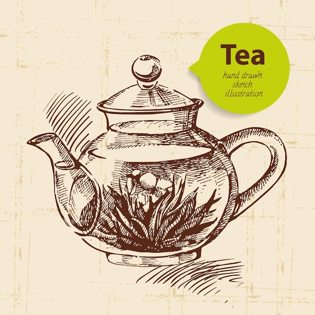 Fondo vintage de té. Ilustración de boceto dibujado a mano. Diseño de menú