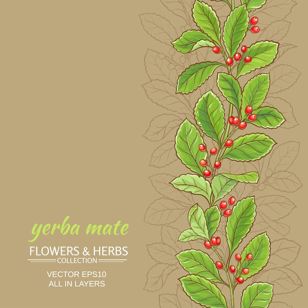 Fondo de yerba mate