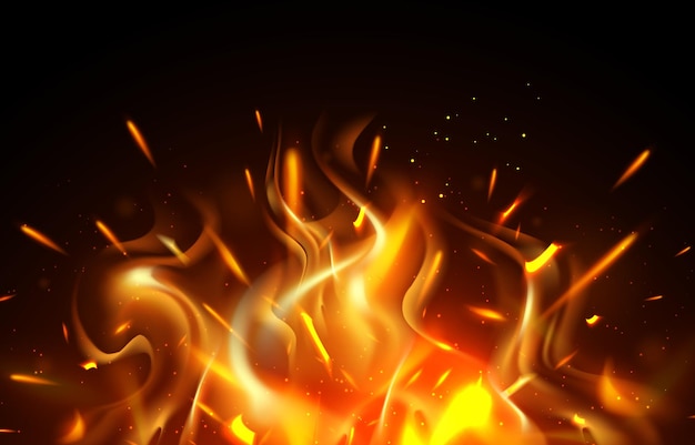 fondo