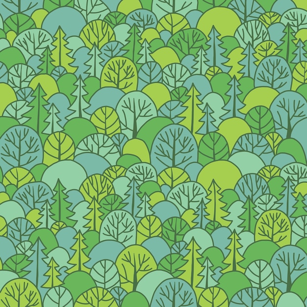 Fondo