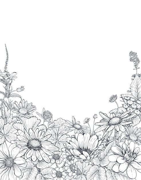 Fondos florales con flores silvestres y plantas dibujadas a mano Ilustración de vector monocromo