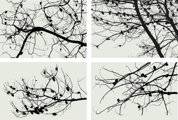 Fondos naturales de siluetas ramas de pinos mediterráneos con conos ilustraciones vectoriales aisladas