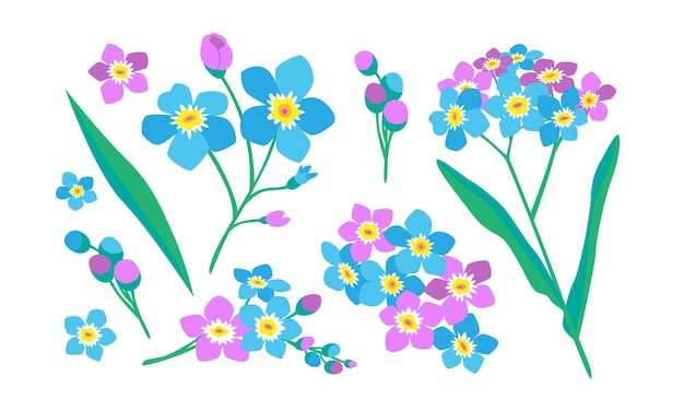 Forgetmenot flores vector imagen aislada elementos florales para diseño y decoración