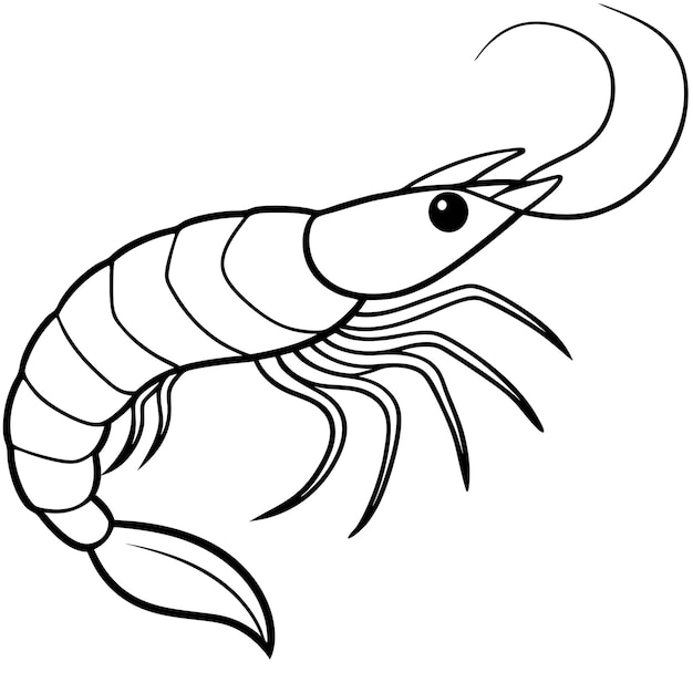 Forma del contorno del camarón e ilustración vectorial del camarón