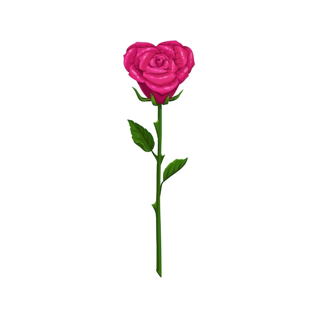 Vector forma de corazón rosa flor aislada