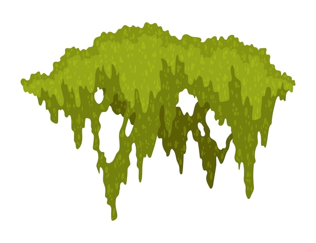 Forma de musgo de la selva de dibujos animados musgo de pantano verde bosque colgante y reptil líquene flora del bosque lluvioso