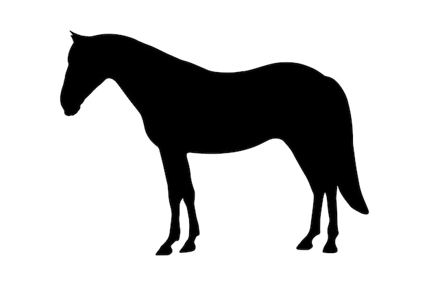 Forma de sombra de silueta de animal de caballo aislada sobre fondo blanco Emblema simple negro