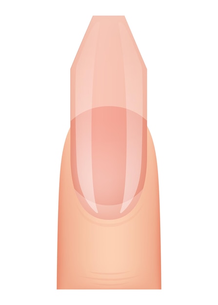 Forma de las uñas tipo de manicura extensión de uñas profesional manicura plantilla salón tipo de moda