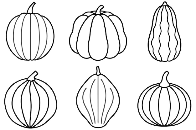 Las formas de la calabaza son lineales, elegantes y modernas.