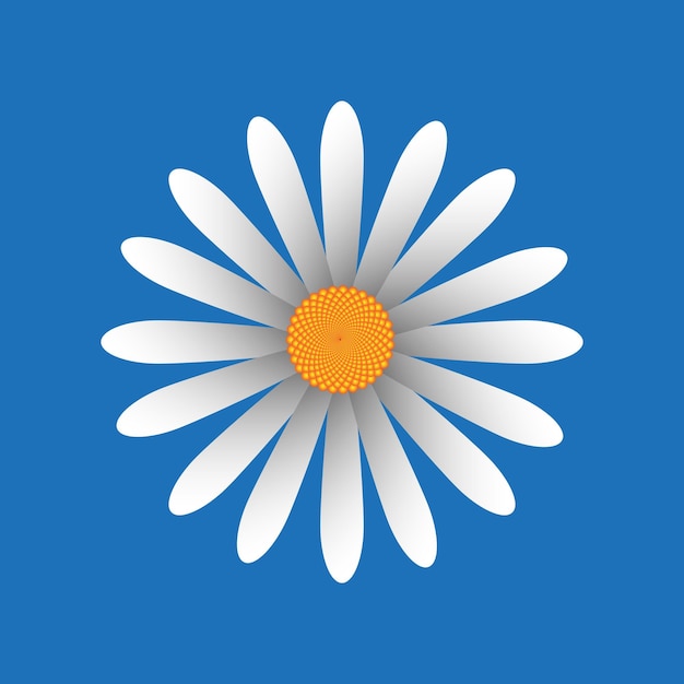 Formas de flores y elementos de diseño de garabatos Flores y plantas de primavera o verano Ilustración de vector de moda moderna contemporánea Flor de margarita simple y colorida