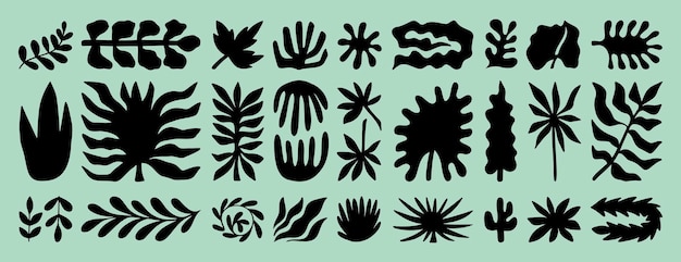 formas tropicales hojas de plantas orgánicas forma conjunto plantas exóticas diferentes formas florales de la naturaleza moderna silueta botánica boho de verano
