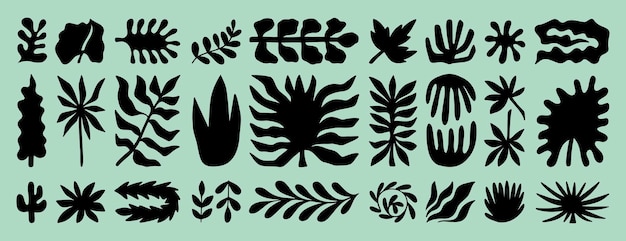 Formas tropicales hojas de plantas orgánicas forma conjunto plantas exóticas diferentes formas florales de la naturaleza moderna