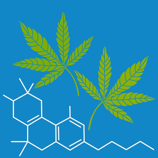 Fórmula de cáñamo de hojas verdes CBD Droga marihuana