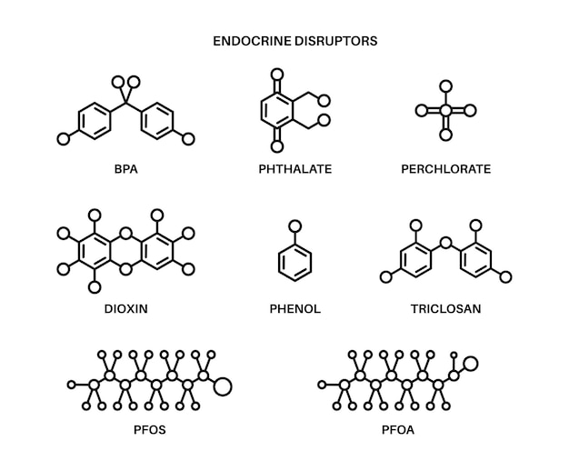 Vector fórmula disruptores endocrinos