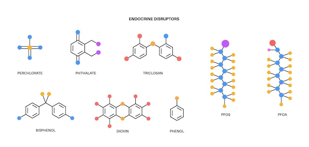 Vector fórmula disruptores endocrinos