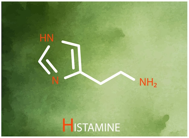 Fórmula de histamina Ícono de línea delgada del vector de la estructura molecular de la histamina