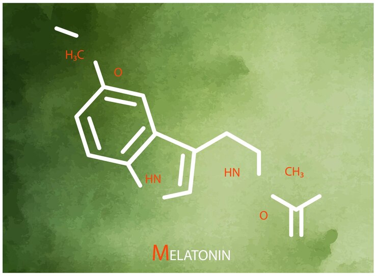 Vector fórmula de la melatonina ícono de línea delgada vectorial de la estructura molecular de la melatonina