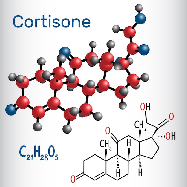 Fórmula química estructural y modelo molecular de la hormona esteroide cortisona