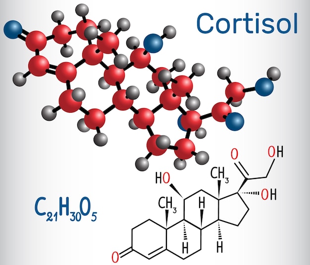Fórmula química estructural y modelo molecular de la hormona del estrés cortisol