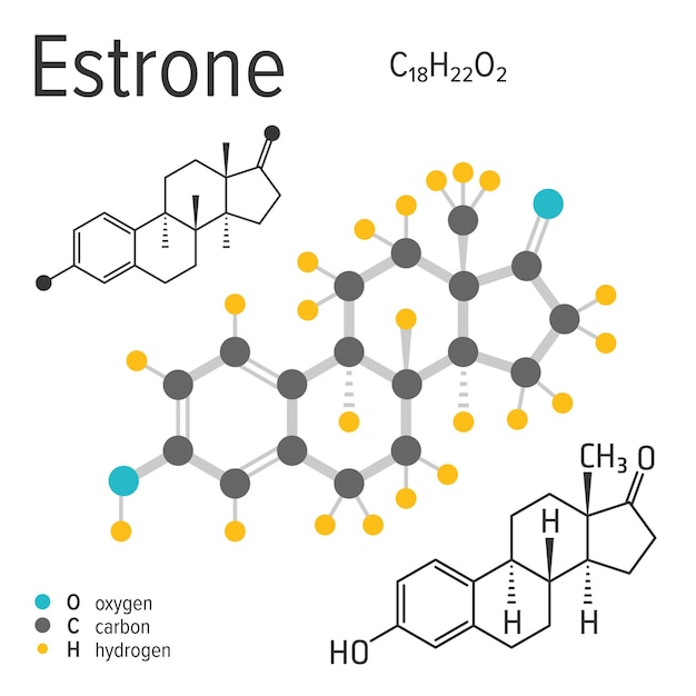 Fórmula química de la molécula de estrona vectorial