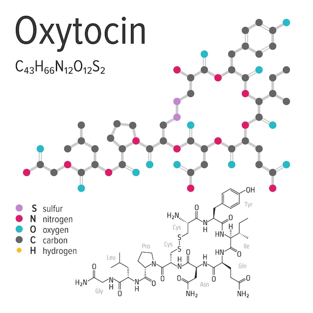 Vector fórmula química de la molécula de oxitocina vectorial