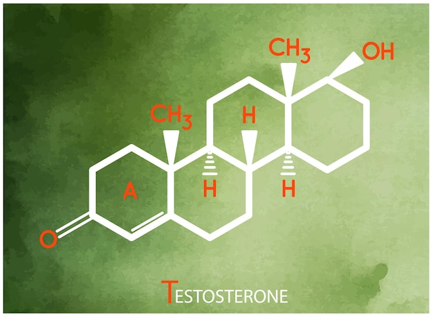 Vector fórmula de testosterona icono de línea delgada del vector de la estructura molecular de la testosterona