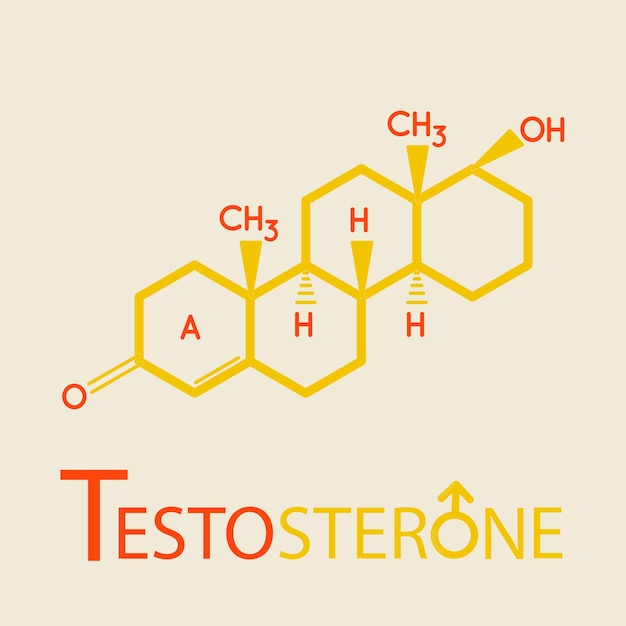 Fórmula de testosterona Vector icono de línea delgada de estructura molecular de testosterona